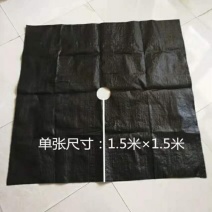 1.5米宽100克,打孔切片防草布(又称除草布、盖草布