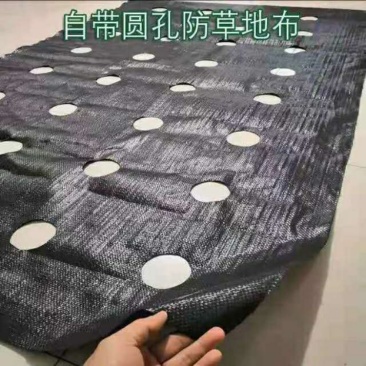 育苗打孔防草布切片打孔防草布除草布园艺地布