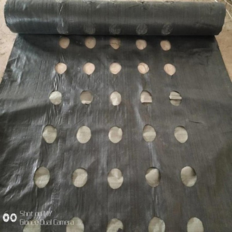 育苗打孔防草布切片打孔防草布除草布园艺地布