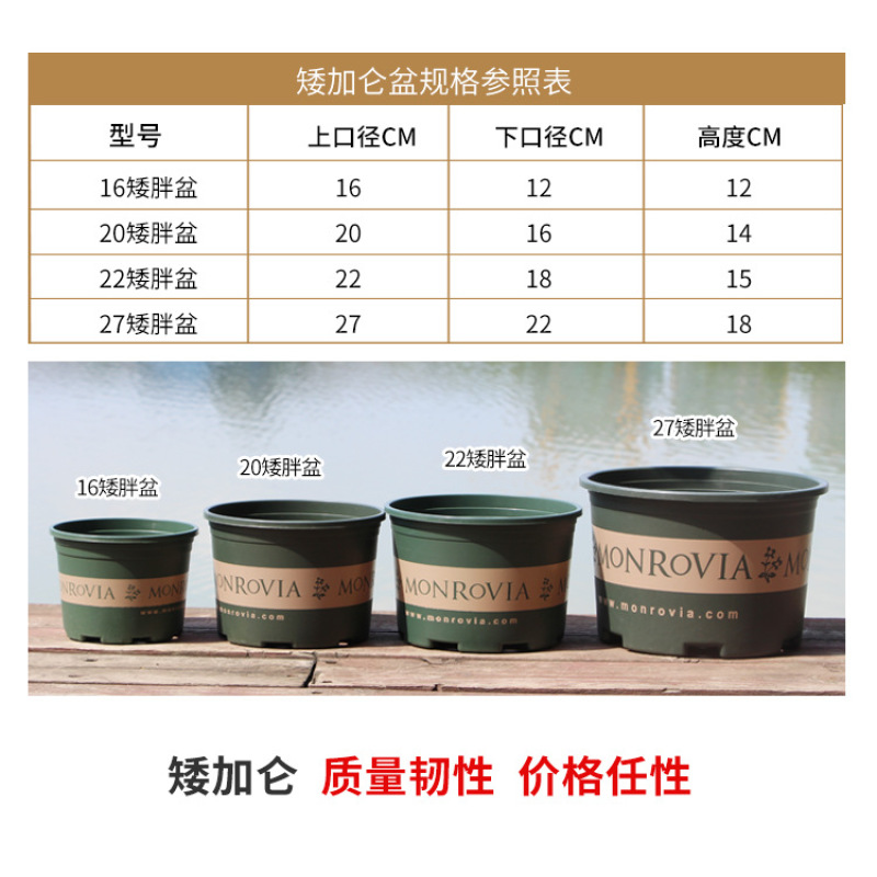 二代矮胖加仑盆阳台多肉盆绿萝月季控根盆树脂塑料花盆批发