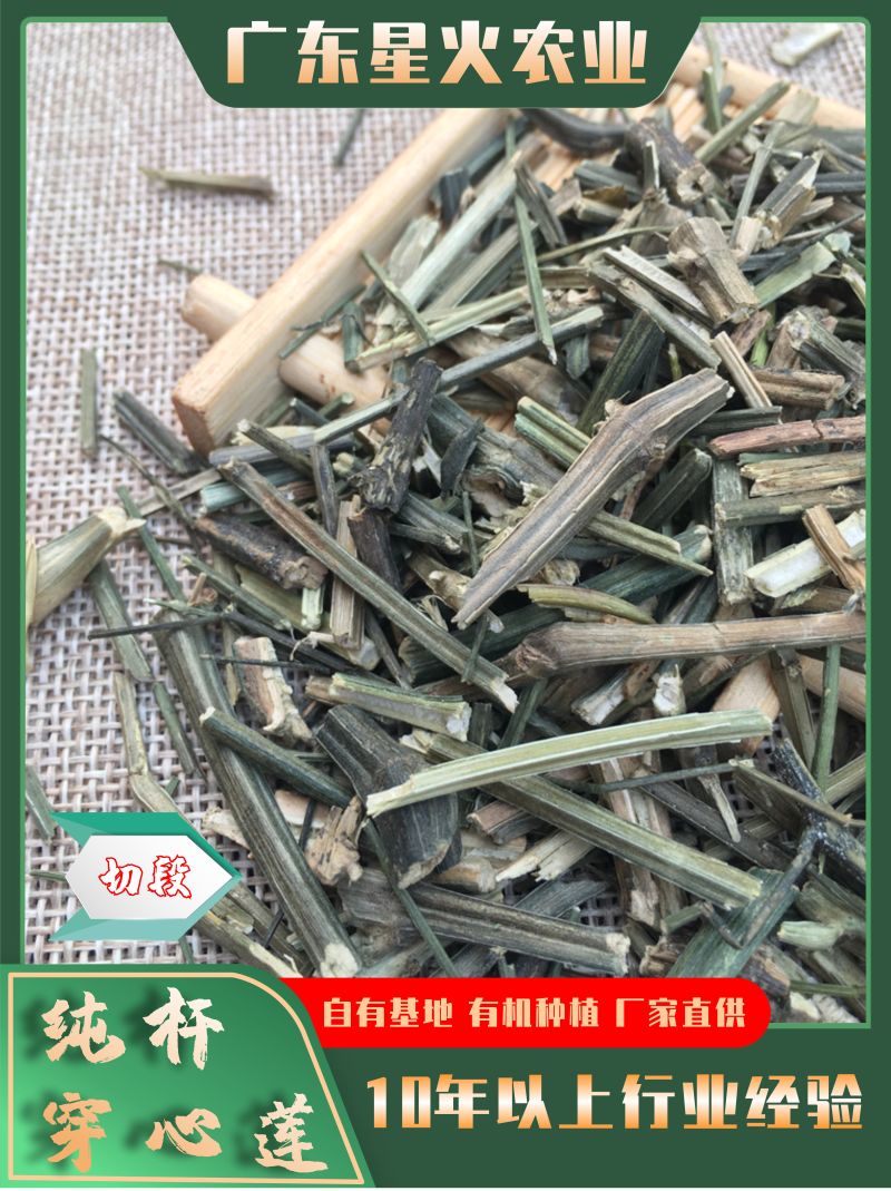 特优供应穿心莲（中药材穿心莲切段干货）产地发货