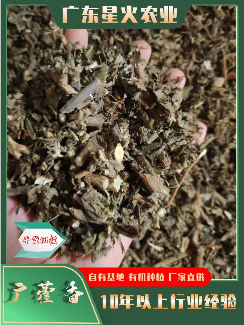 广藿香产地直销批发各种规格切片干品中药材原材