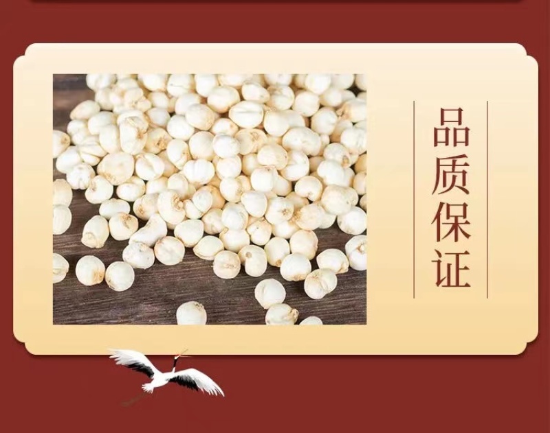 贝母小贝母农家自产原统货天然无硫特级贝母颗粒包邮