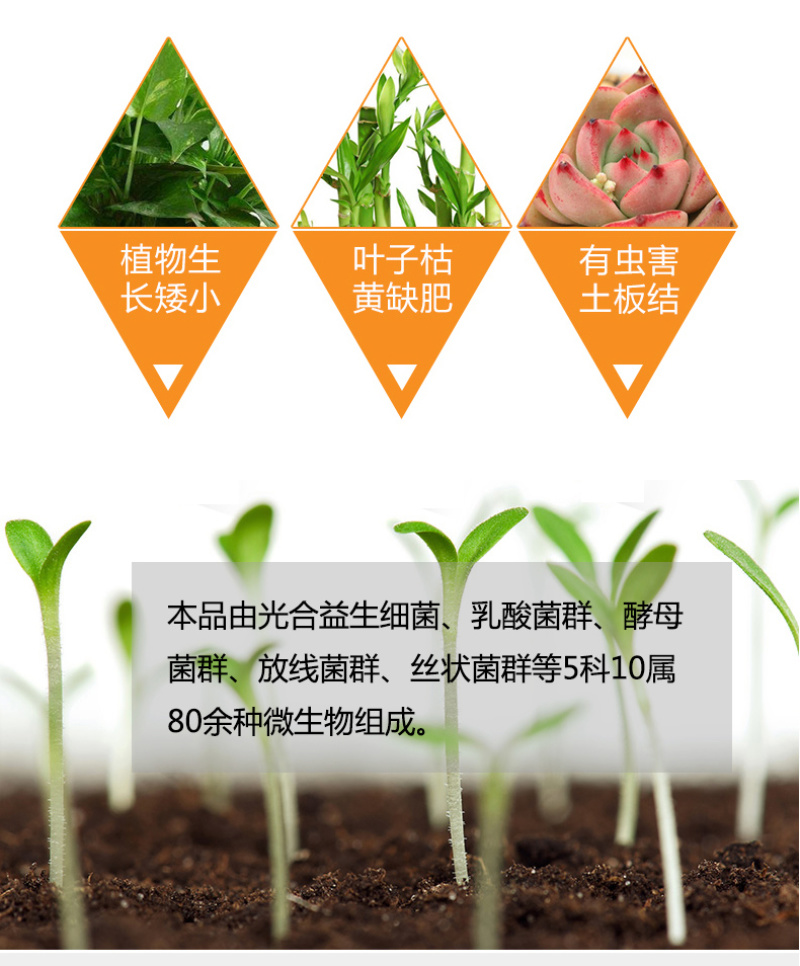 土壤多菌宝/土壤改良剂/生物菌肥/冲施肥/液体肥