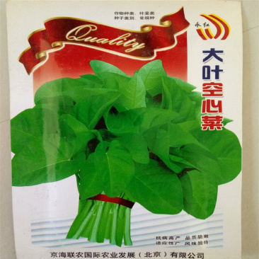 大叶空心菜籽种孑夏秋季播种水培易种蔬菜种子小青菜籽种籽四