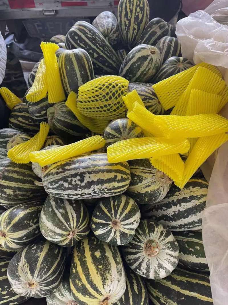 山东博洋9号甜瓜清脆香甜，基地直供保质保量，可视频看货