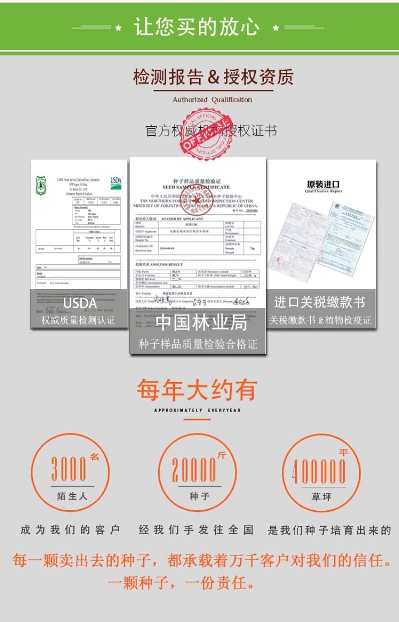 药用艾草种子食用草艾绒香艾草四季种叶艾草艾高艾叶种籽盆栽