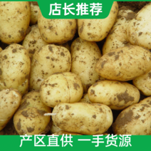 土豆品种齐全河北土豆量大从优产区货源