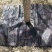 单张pp生产除草布,打孔PE地布一亩地多少钱
