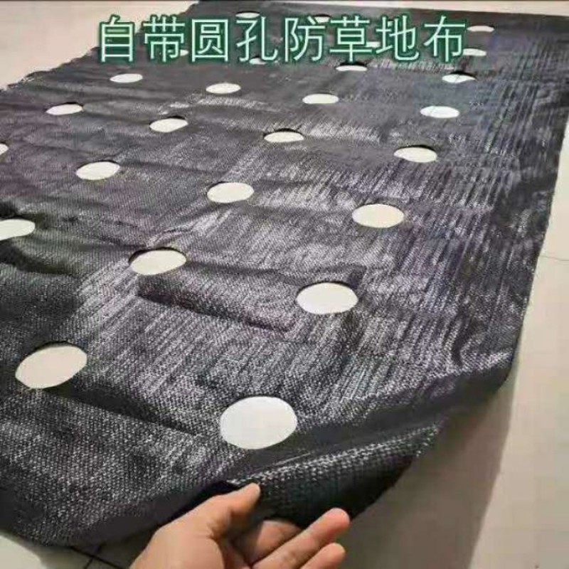 防草布除草布打孔切片价格各种规格幅宽