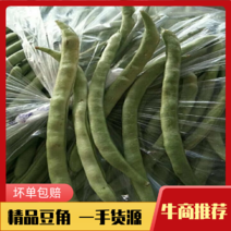 豆角河北邯郸精品豇豆一手货源充裕发货顺畅