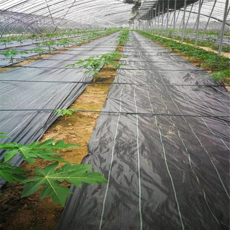 盖草布价格，PE防草布厂家，送16厘米地钉