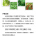 螯合态高效氮肥/液体肥/冲施肥/生物肥