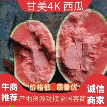 【蒋氏精品】早春红玉，佳秀6号
