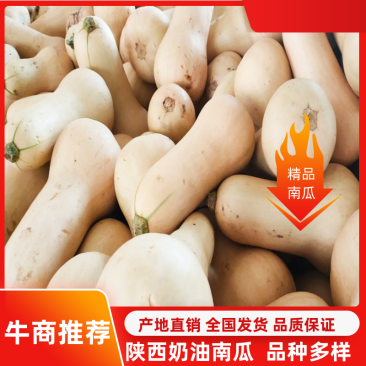 奶油南瓜干面糯甜，质量好价格实惠对接全国市场：现货