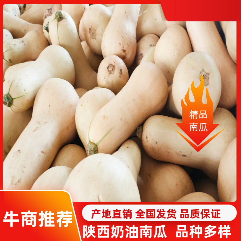 奶油南瓜干面糯甜，质量好价格实惠对接全国市场：现货