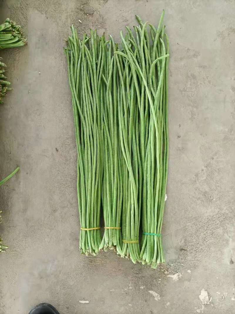 精品长豆角，可供应各大超市，走市场，电商货，各大加工厂货