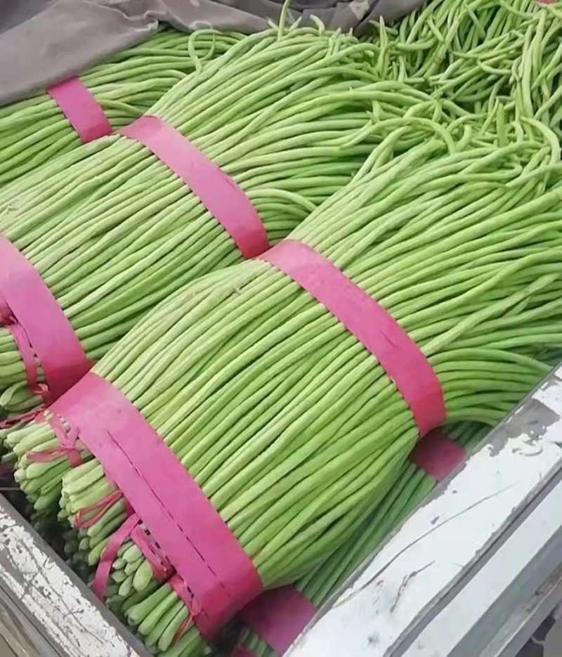 精品长豆角，可供应各大超市，走市场，电商货，各大加工厂货