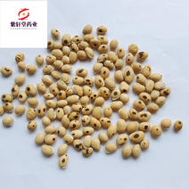 白扁豆进口炒白扁豆选货产地海外地道药材