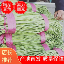 精品绿长豆角，产地直销，超市，电商，加工厂，各大市场，