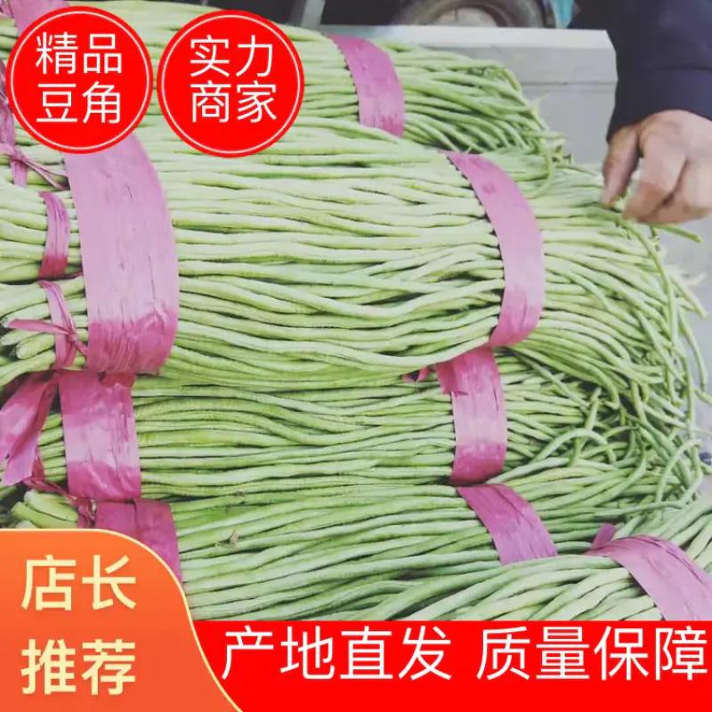 精品绿长豆角，产地直销，超市，电商，加工厂，各大市场，