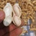 【鲜花生】精品白沙系列花生产地现挖可视频看货