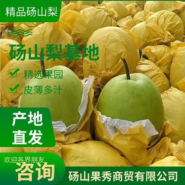 砀山县精品苹果梨，果园现摘现发，货源足质量高，供应全国