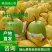 砀山县精品苹果梨，果园现摘现发，货源足质量高，供应全国