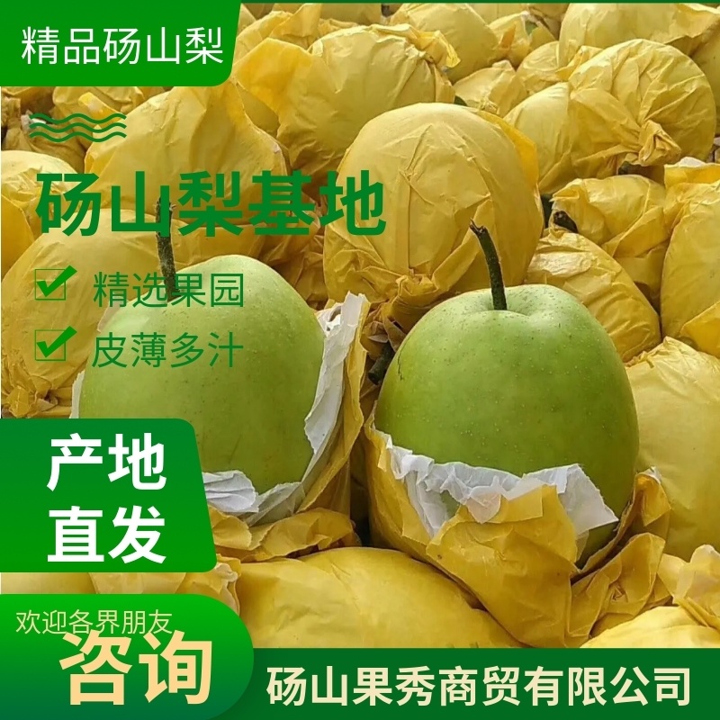 砀山县精品苹果梨，果园现摘现发，货源足质量高，供应全国