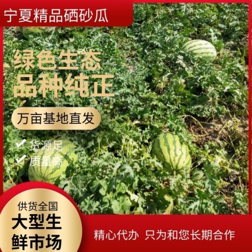 精品宁夏中卫硒砂瓜,货源充足,供应全国,欢迎各界来电咨询