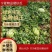 精品宁夏中卫硒砂瓜,货源充足,供应全国,欢迎各界来电咨询