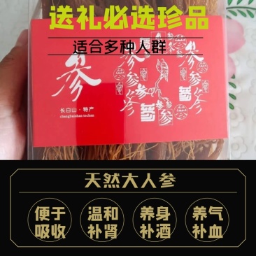 【大量批发】无糖红参全须红参整枝500克工厂批发价