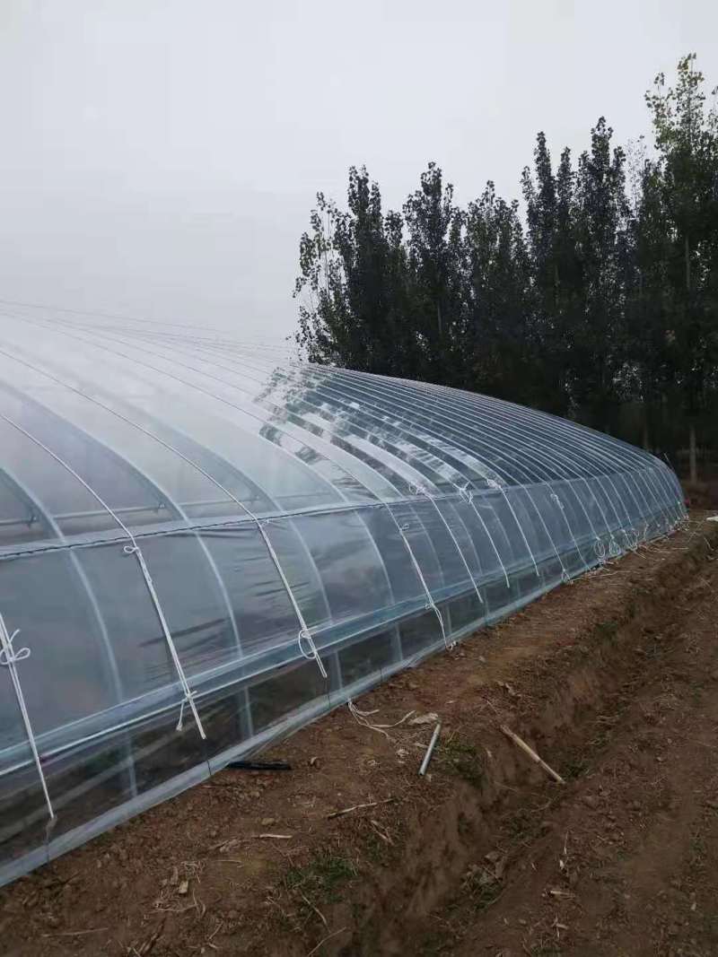 大棚膜8到12丝，规格全可订制，长寿消雾流滴透光好！