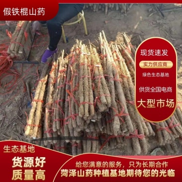 【产地直供】假铁棍山药，一手货源批发品质保证价格美丽