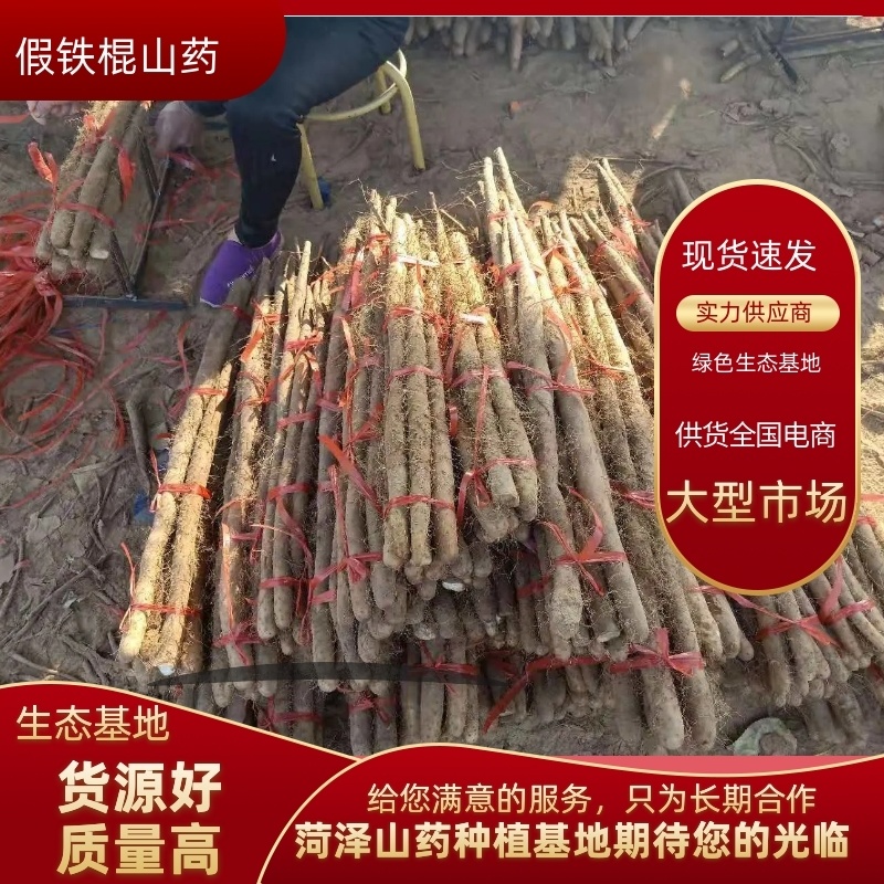 【产地直供】假铁棍山药，一手货源批发品质保证价格美丽