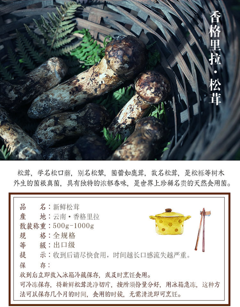 顺丰空运包邮～正宗云南香格里拉新鲜松茸，未开伞，精选精品
