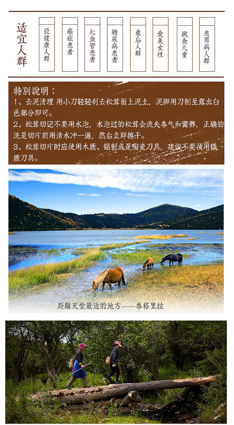 顺丰空运包邮～正宗云南香格里拉新鲜松茸，未开伞，精选精品