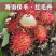 顺丰空运包邮~海南保亭精品红毛丹，海南毛荔枝