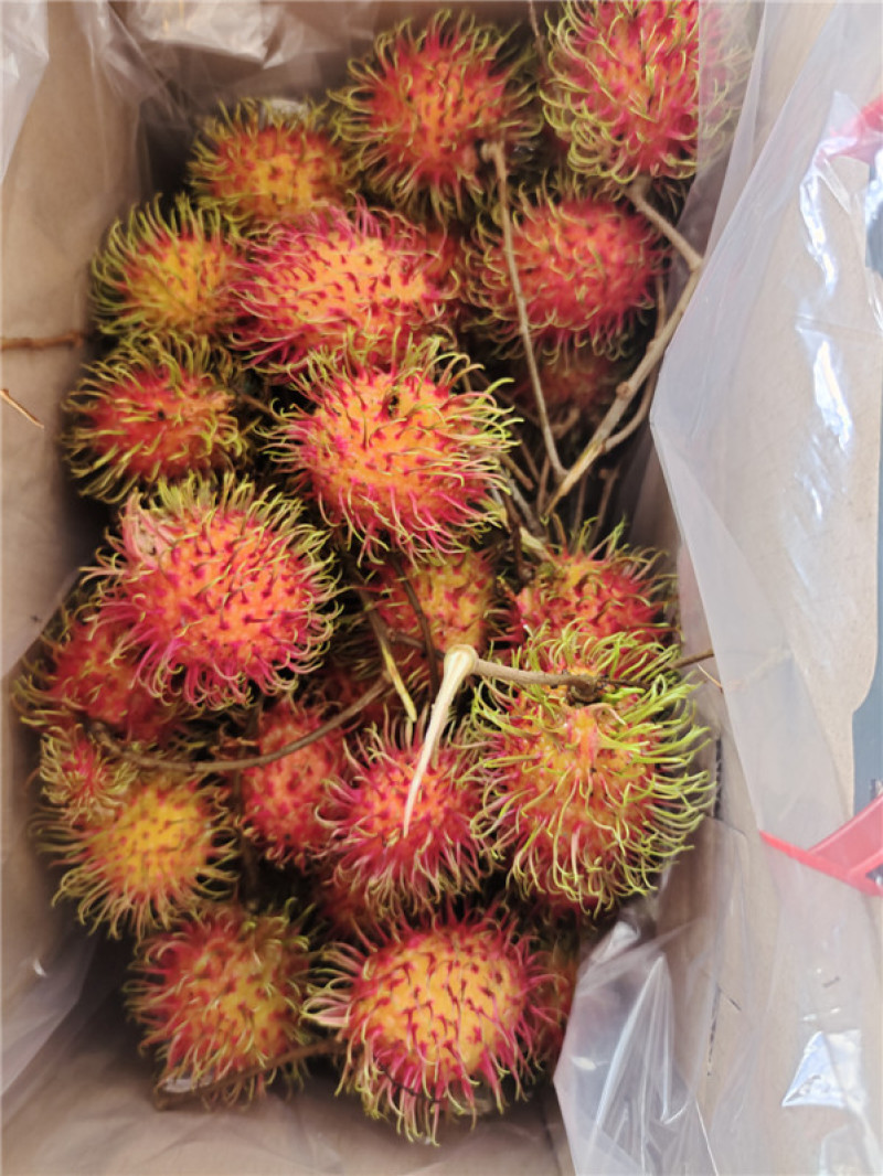 顺丰空运包邮~海南保亭精品红毛丹，海南毛荔枝