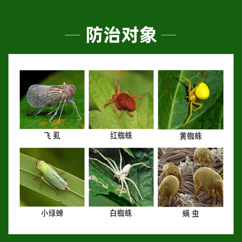 植轻松阿维螺螨酯柑橘果树草莓红蜘蛛杀虫剂杀螨剂