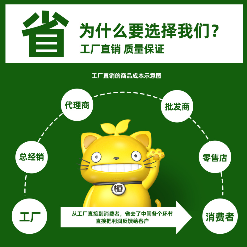 植轻松阿维螺螨酯柑橘果树草莓红蜘蛛杀虫剂杀螨剂