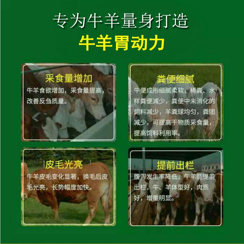牛羊四胃动力散瘤胃双效促进消化反刍积食胃胀气开胃