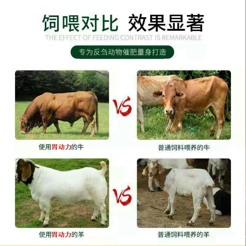 牛羊四胃动力散瘤胃双效促进消化反刍积食胃胀气开胃
