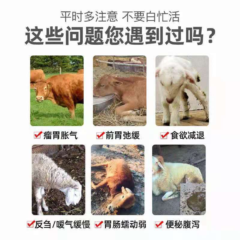 牛羊四胃动力散瘤胃双效促进消化反刍积食胃胀气开胃