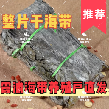 养殖户直发,中国海带之乡霞浦/晒干海带/可定制/高品质货