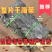 养殖户直发,中国海带之乡霞浦/晒干海带/可定制/高品质货
