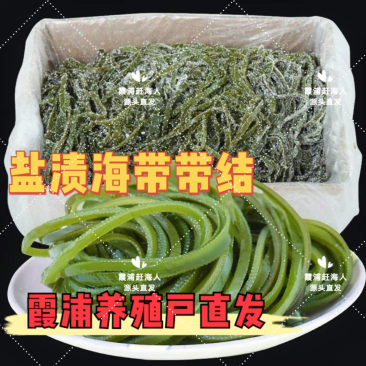 海带之乡霞浦/盐渍海带丝/养殖户直发/商家必备/可定制