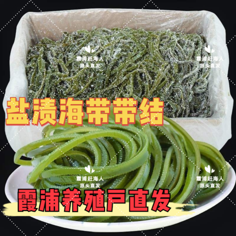 海带之乡霞浦/盐渍海带丝/养殖户直发/商家必备/可定制