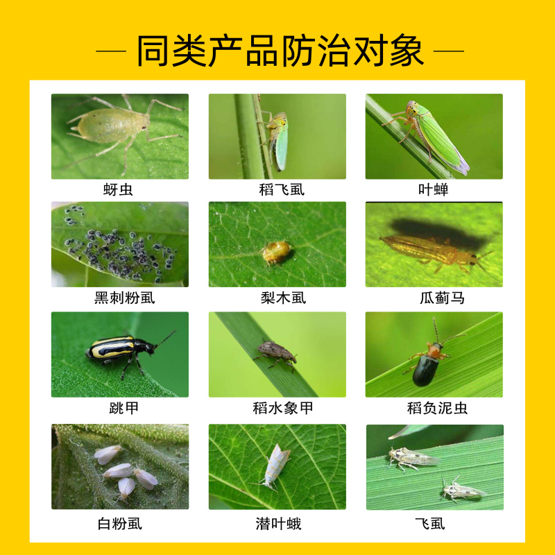 吡虫啉杀虫剂蔬菜花卉果树蚜虫飞虱白粉虱蓟马多肉介壳虫杀虫