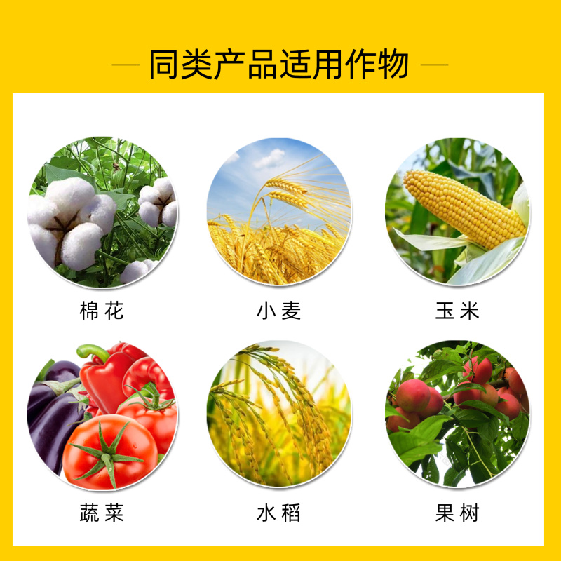 吡虫啉杀虫剂蔬菜花卉果树蚜虫飞虱白粉虱蓟马多肉介壳虫杀虫